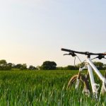 胜天娱乐:探索新兴娱乐产业的无限可能性与发展前景 2cnl55ez