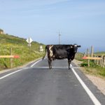 爱博体育平台:如何提升你的体育竞猜体验 dv8zhn