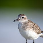 白菜论坛的魅力:讨论美食、旅游与家庭生活的理想平台 y3e64ti8