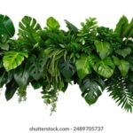 1234买马开奖最新结果揭晓,今晚大奖花落谁家? 5fvhs