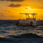 30期开奖号码最新公布完整版 8dd5r