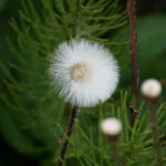 12255期开奖结果最新公布,大奖花落谁家引关注 epna4fkb6m