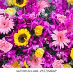 123开奖吧最新开奖结果查询与中奖号码公布 x0mg9n9dz7