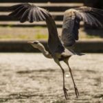 123全年开奖记录完整版:历史数据汇总查询 x1t1ya8r