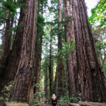 120期3D开奖结果最新公布,中奖号码全面揭晓 xjdfapp